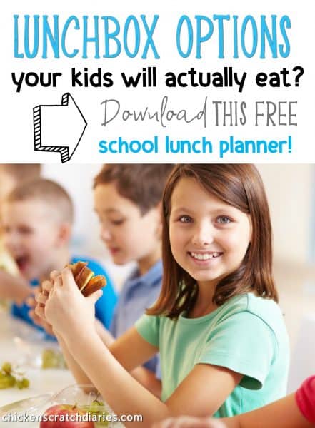 Ultimate List of School Lunch Ideas (Free printable) » Chicken Scratch ...