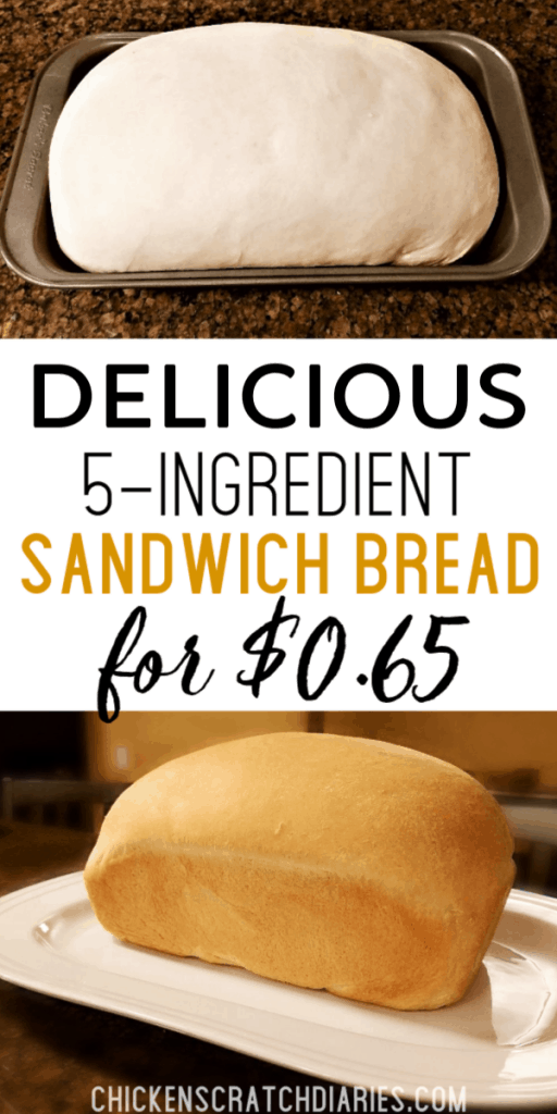 Collage graphic with image of rising bread dough above, with finished loaf below, and text in middle stating Delicious 5-ingredient sandwich bread for $0.65.