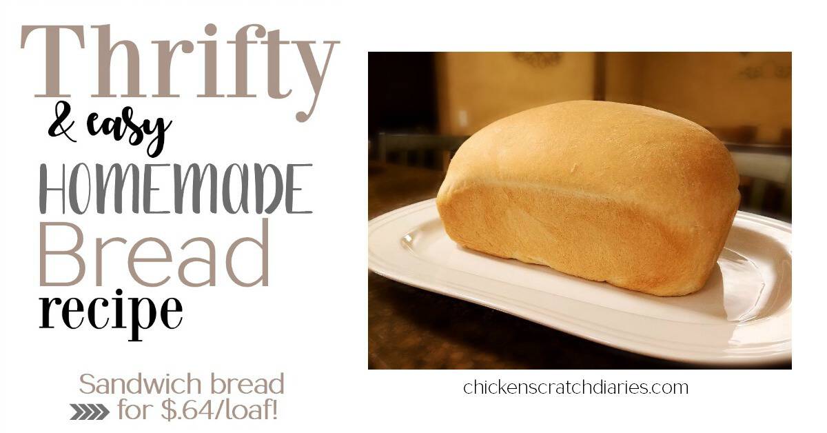 Thrifty Homemade Sandwich Bread Recipe » Chicken Scratch Diaries
