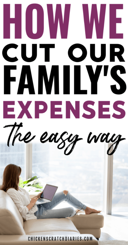 How to cut household expenses: image of woman shopping online