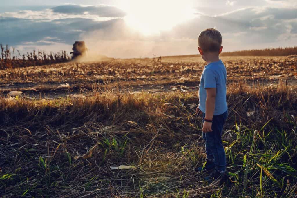 Boy standing in field with brilliant sunset in background.