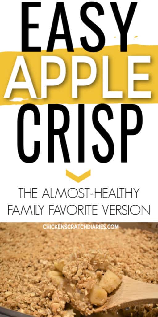 Easy almost healthy apple crisp recipe