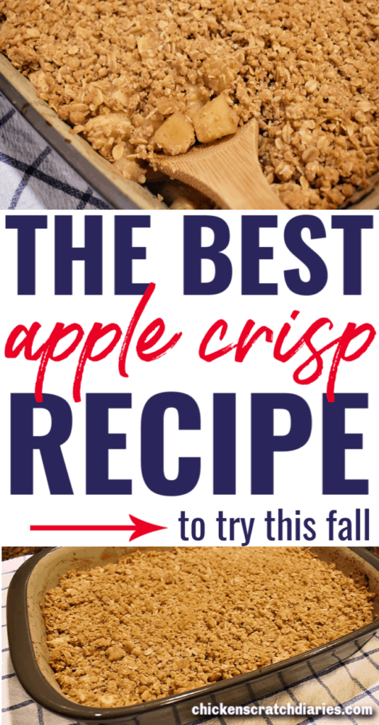 pin image for Apple crisp recipe 