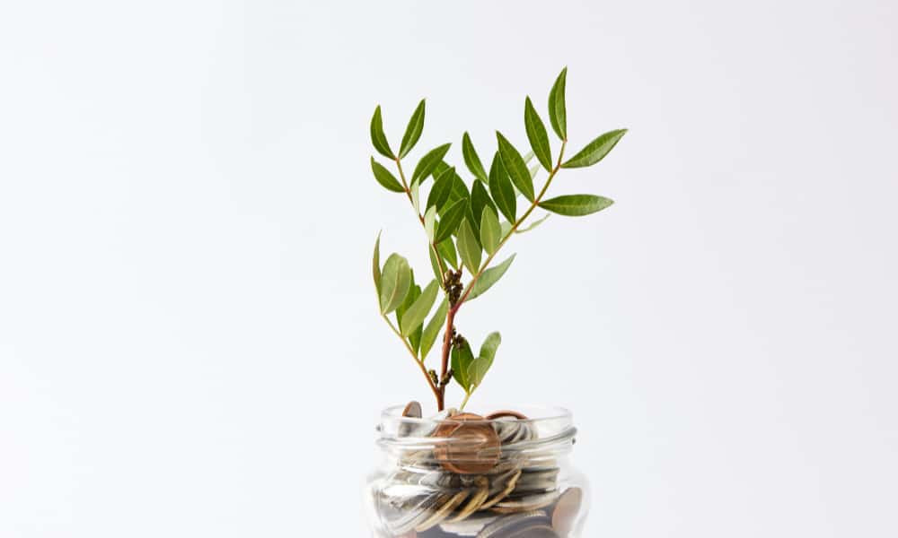 Image of a plant growing out of a jar of change -family finances- concept of tithing and giving