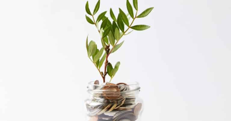family finance tips for families