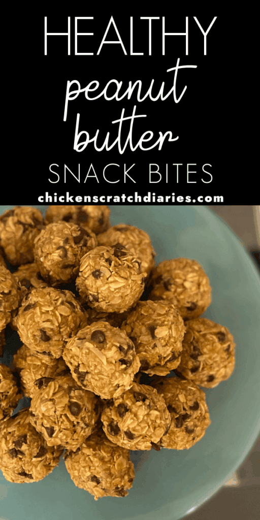 Vertical graphic with image of peanut butter balls up close and text "healthy peanut butter snack bites"