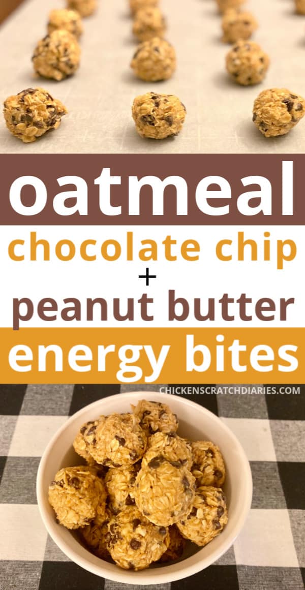 oatmeal chocolate chip energy balls for kids