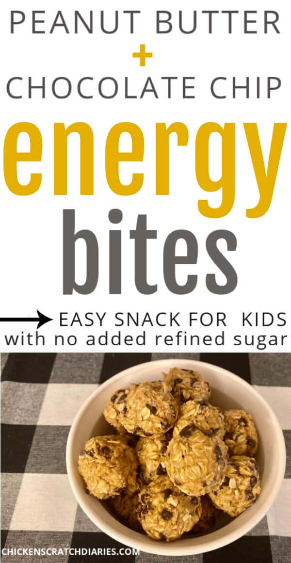 peanut butter chocolate energy balls for kids recipe