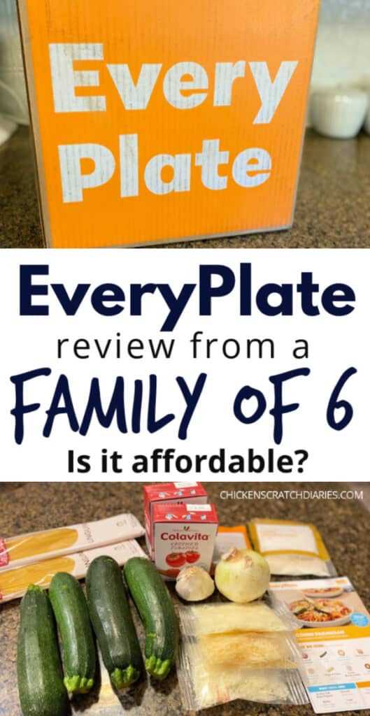 EveryPlate Review image