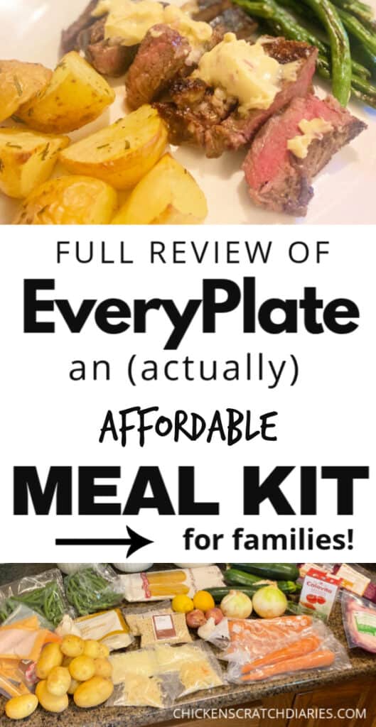 EveryPlate Review from a family of 6