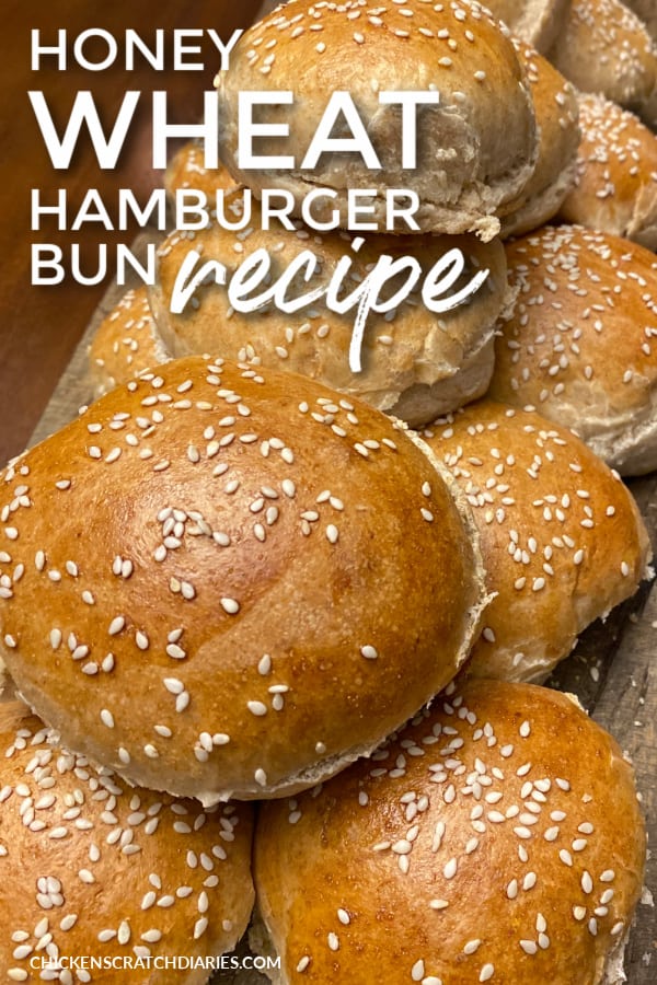 easy whole wheat hamburger buns