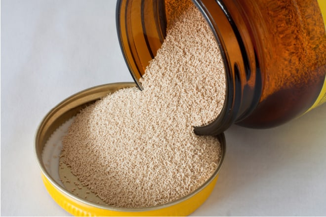 yeast for making bread