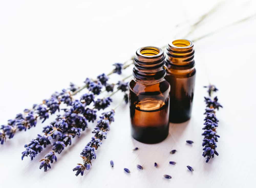 lavender oil-beginner oil on a white surface with lavender stem