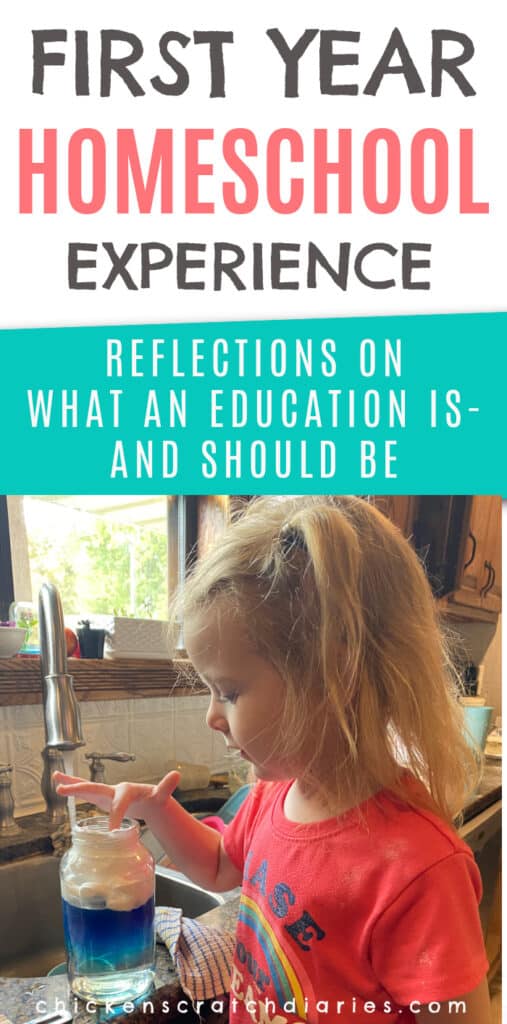 first year homeschool experience and reflections on education