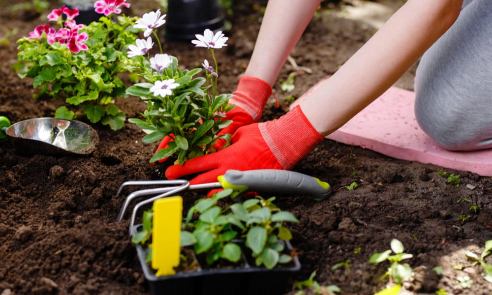 gardening hobby idea for moms: a woman planting flowers in a flowerbed.