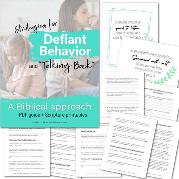 Strategies for defiant behavior and talking back - a Biblical approach- product image