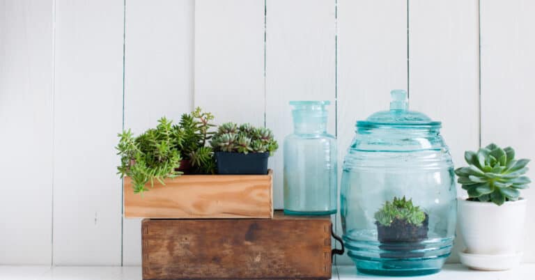 Qualities that homemakers share