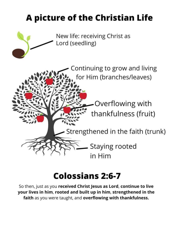 Picture of the Christian Life printable