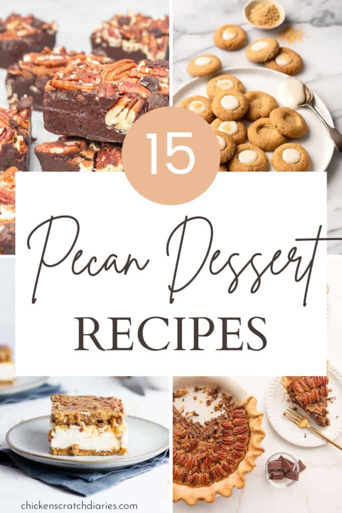 Collage image of pecan chocolate brownies, cookies, cheesecake bars and a maple pecan pie with text- 15 Pecan Dessert Recipes.
