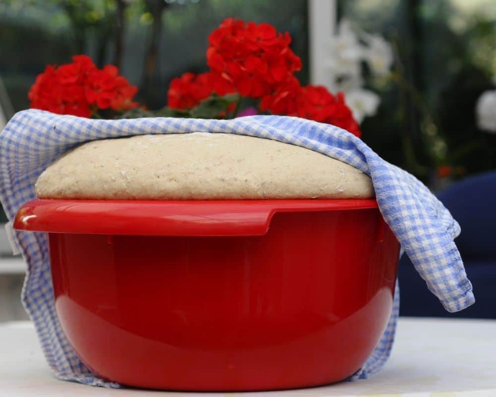 bread dough rising in a red bowl covered with a kitchen towel.