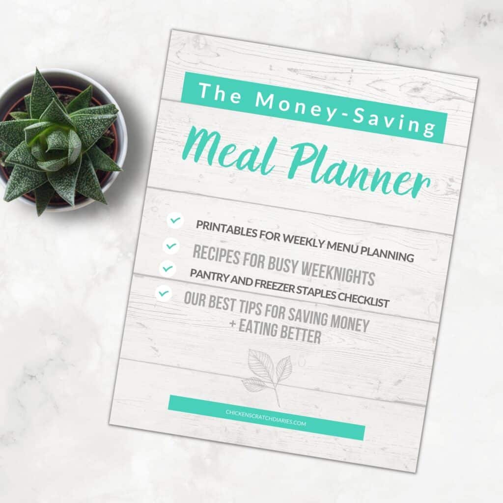 Image of Money Saving Meal planning on a marble counter top. Links to digital product available on our site.