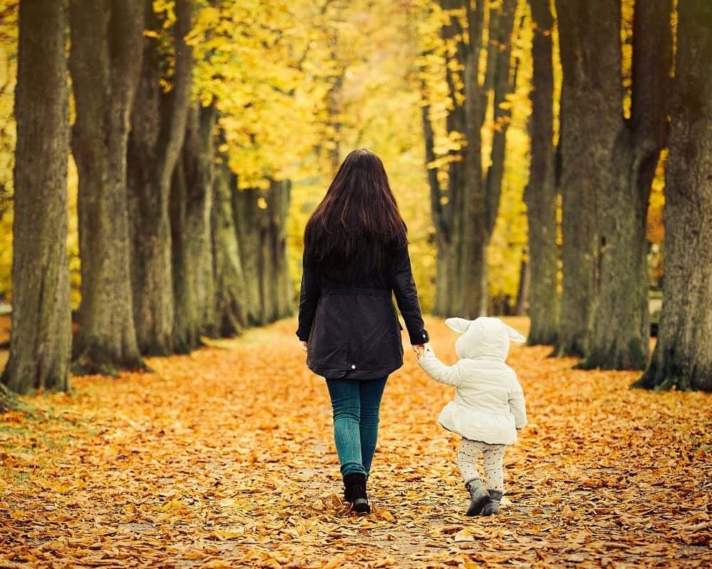 Image of a mother and a toddler walking in the woods on a tree-lined path. Concept of grace-filled mothering, hand in hand.