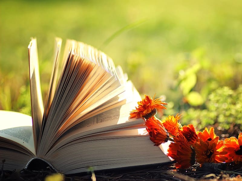 A Bible laying on the ground, opened with orange flowers laying beside it on a summer day with beautiful greenery in the background.