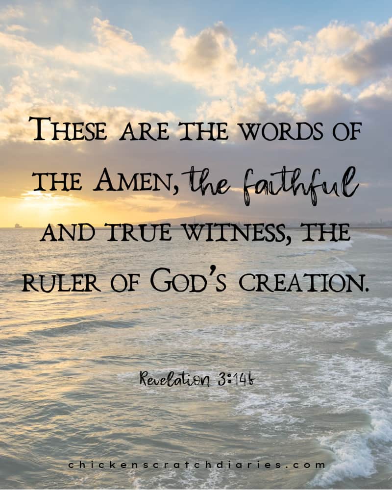 Beach landscape with text overlay of Revelation 3:14b.