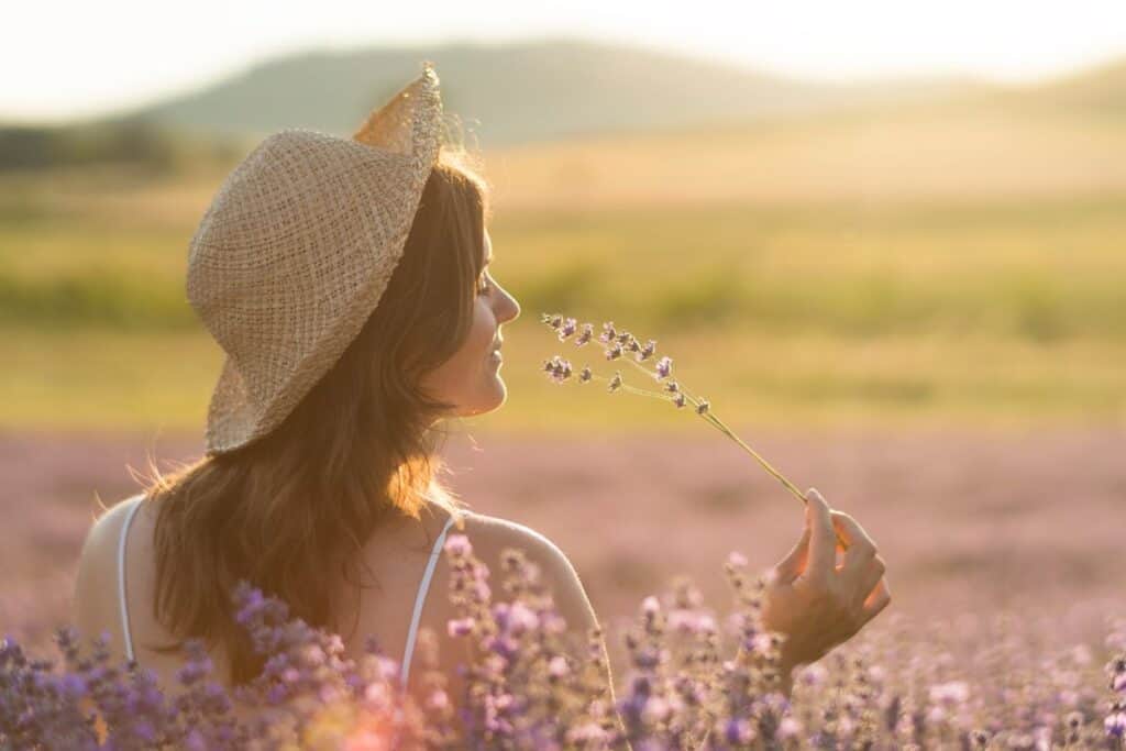 Woman standing in a picturesque lavender field, sniffing a stem of flowers in the sunset.