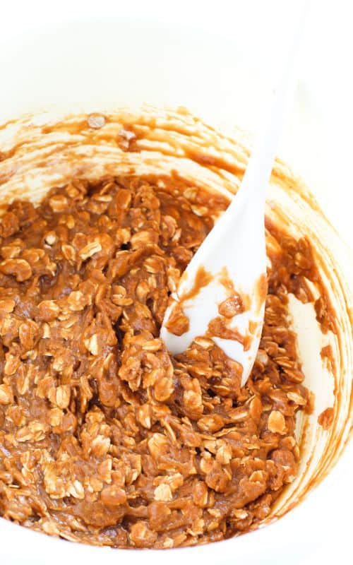 Mixing together the batter for oatmeal gingerbread cookies.