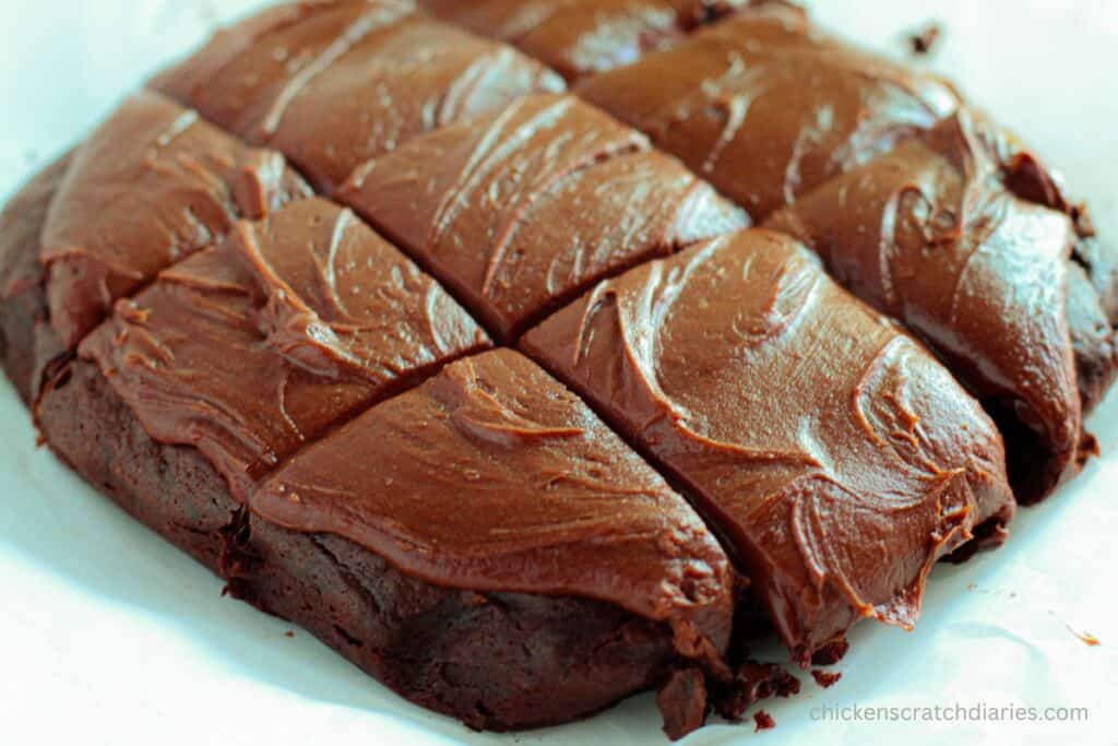 Brownies cut into squares on a white background.