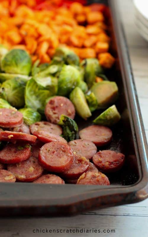 Close up image of sausage and veggies on baking pan after tossed with oil and herbs.