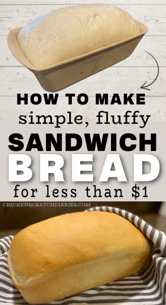 Graphic of bread rising in pan, and then finished baked bread, with text "How to make simple, fluffy sandwich bread for less than $1"