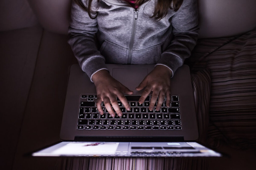 child using laptop on the living room couch.