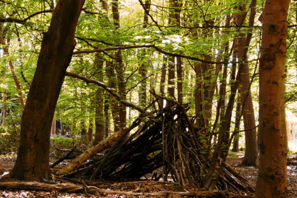 Fort made in the woods with branches and limbs stacked together in a triangular shape.
