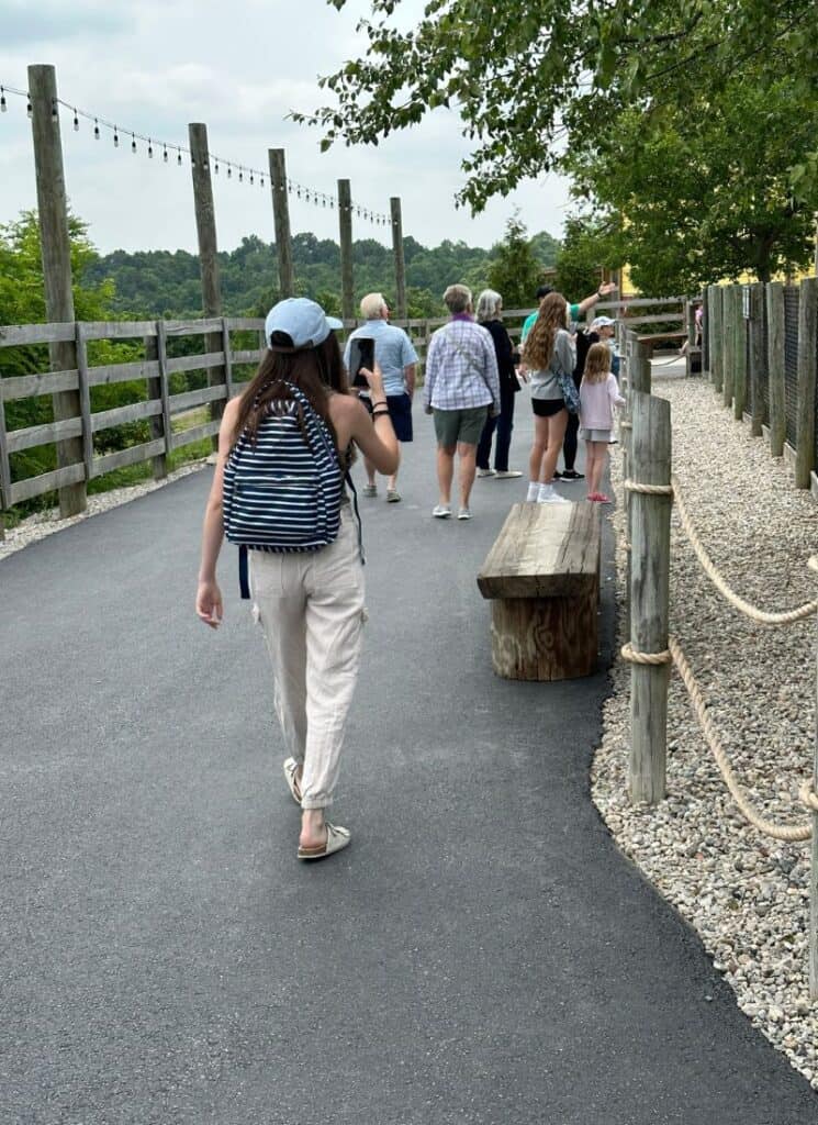 Walking through the zoo at the Ark Encounter.