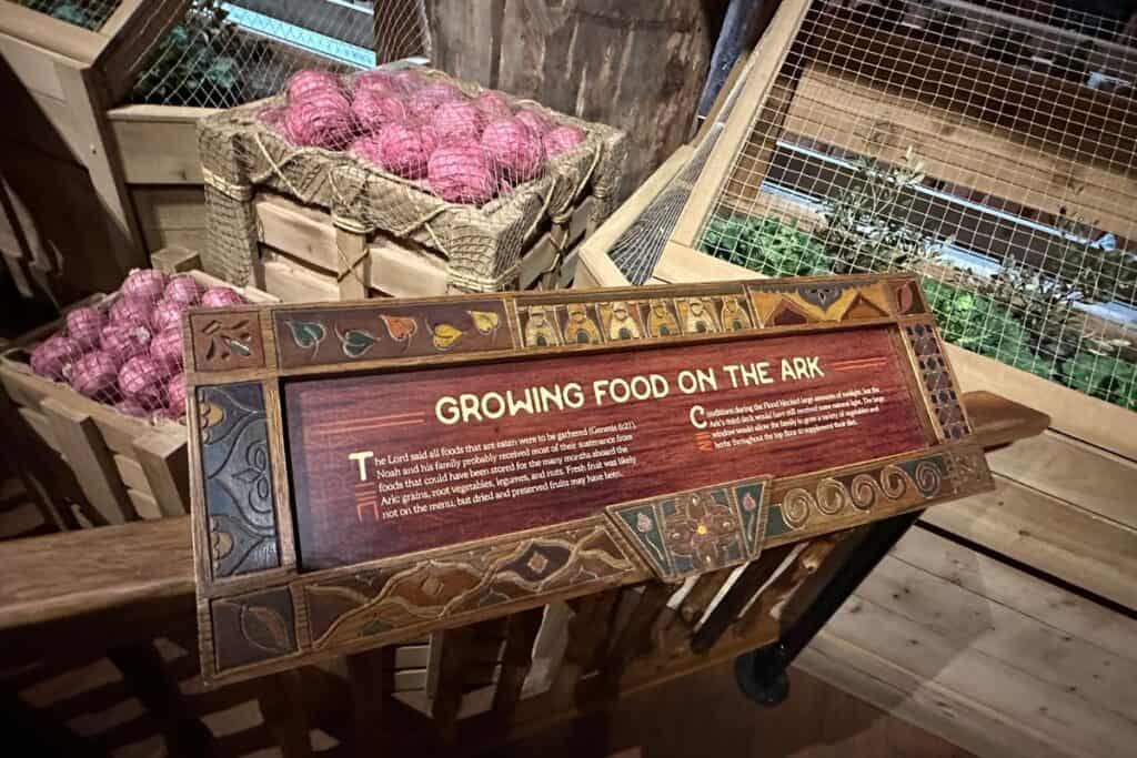 Lettuce growing on sunlit area of the ark and potatoes in storage with exhibit sign "growing food on the ark".