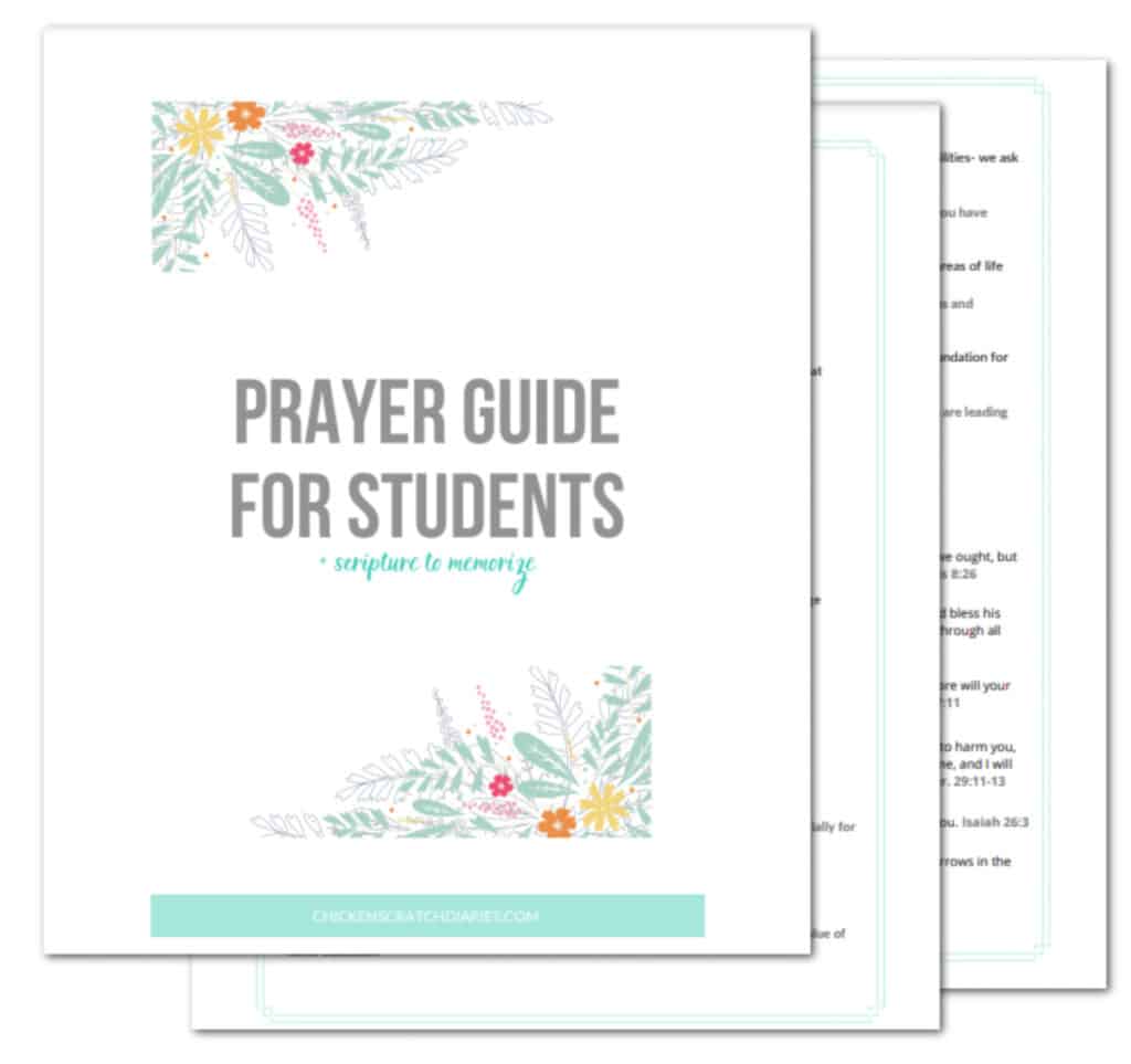 Preview of prayer guide for students