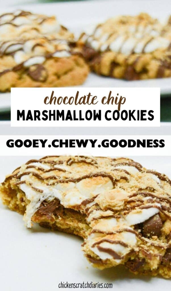 Smores cookies vertical image with text "Chocolate chip marshmallow cookies- gooey chewy goodness."
