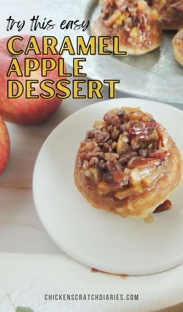 Graphic with closeup of caramel apple biscuits and text overlay "Try this caramel apple dessert"