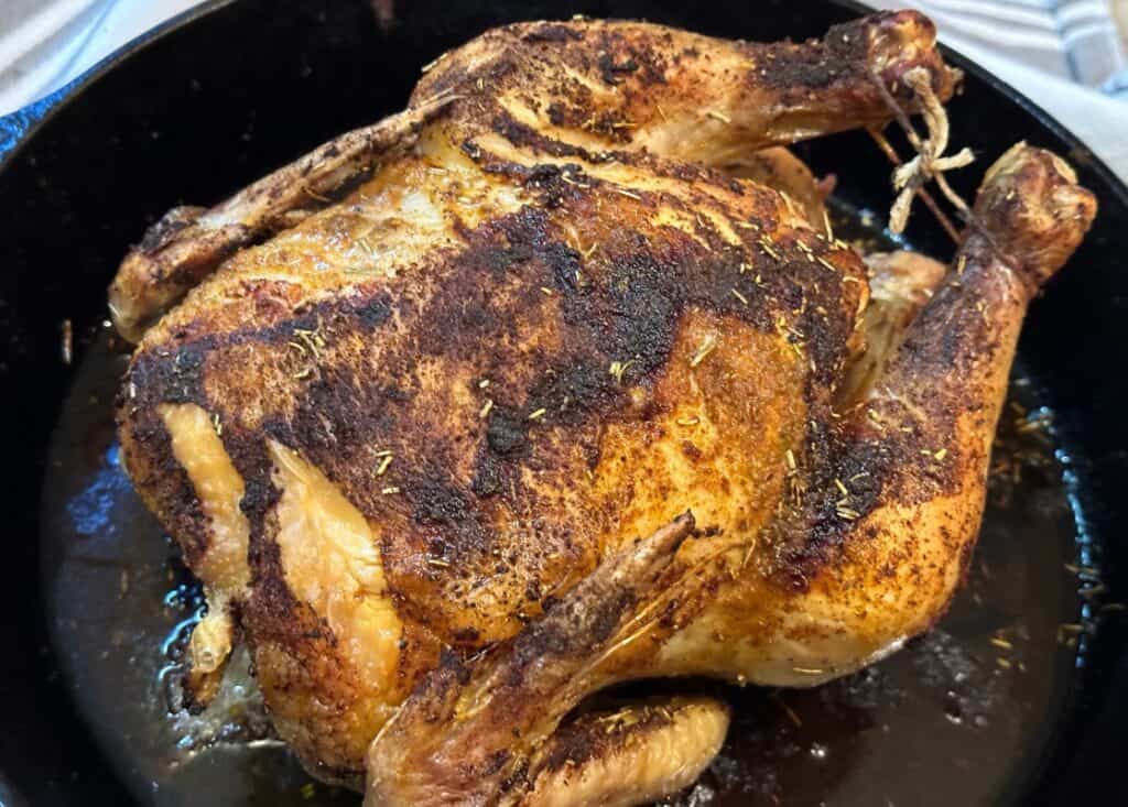 seasoned whole chicken in cast iron skillet, just out of oven.