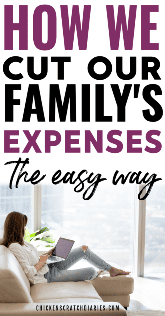 Vertical graphic with woman using tablet and text "How we cut our family's expenses the easy way"
