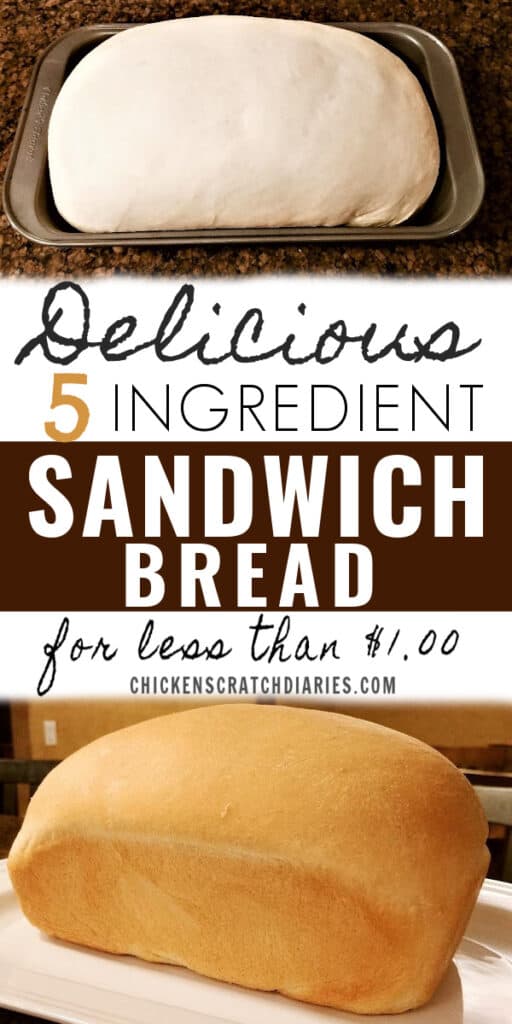 Image of dough rising and baked loaf of bread and text "Delicious 5 ingredient sandwich bread for less than a dollar"