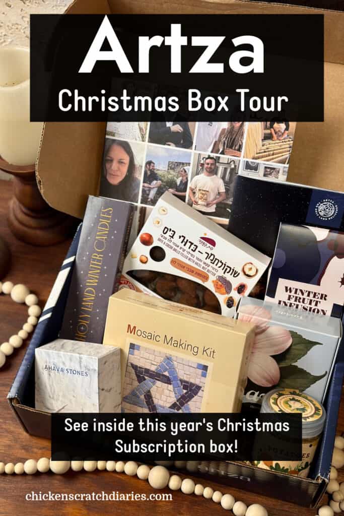 View of Artza Christmas box with text "Artza Christmas Box tour- See inside this year's Christmas subscription box!"