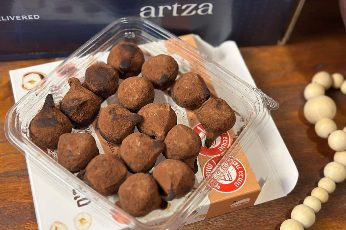 2024 Artza Christmas Box Review » Chicken Scratch Diaries