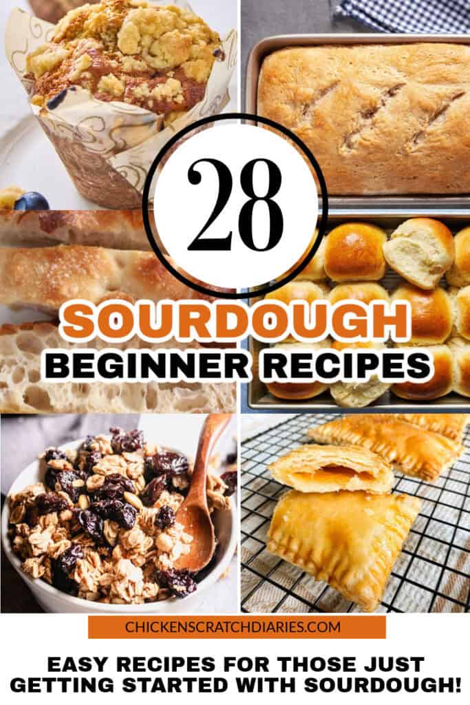Vertical collage graphic with recipe images from this post and text "28 sourdough beginner recipes : easy recipes for those just getting started with sourdough!"