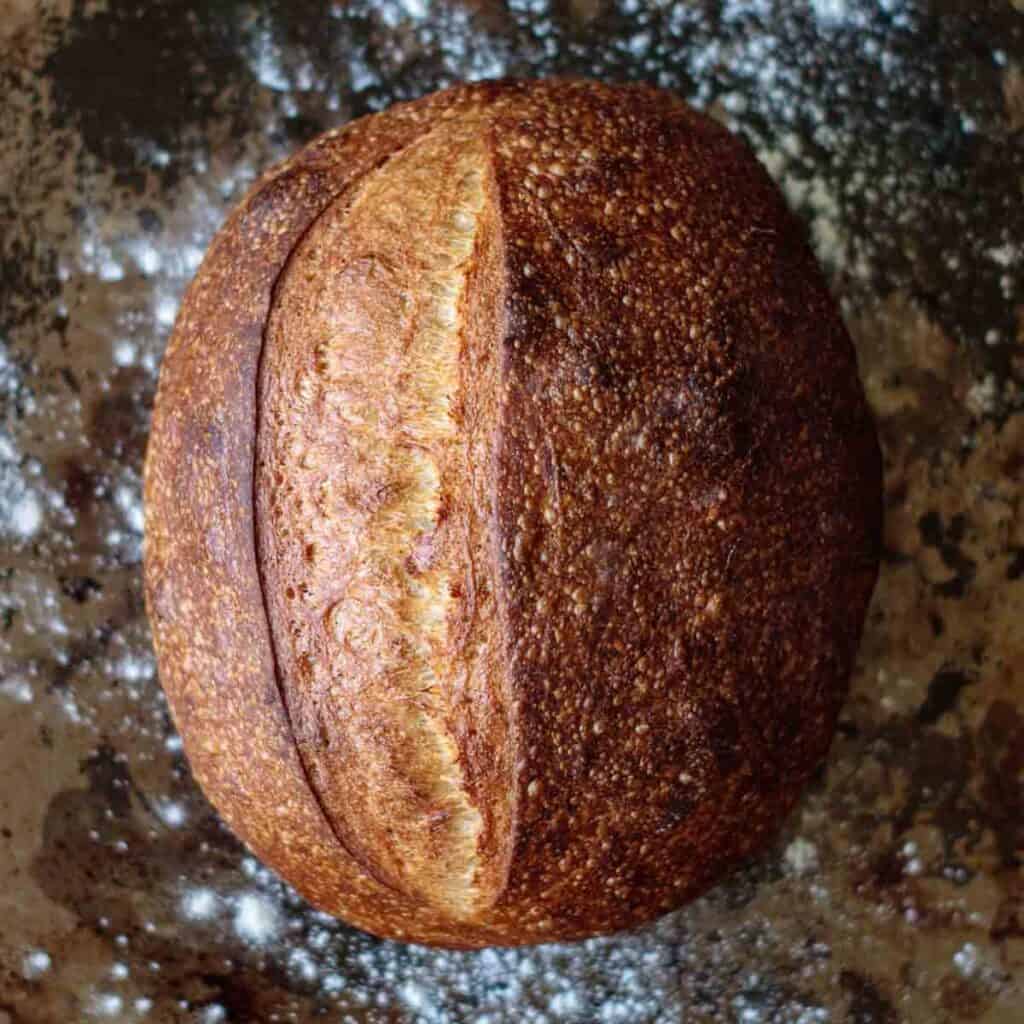 Crusty artisan sourdough loaf.