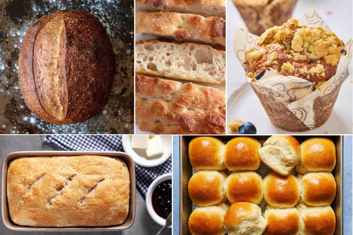 Collage image of sourdough recipes