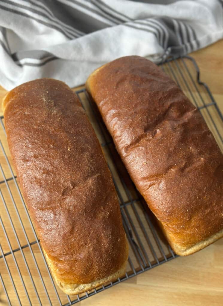 Two loaves of baked wheat bread on a counter.