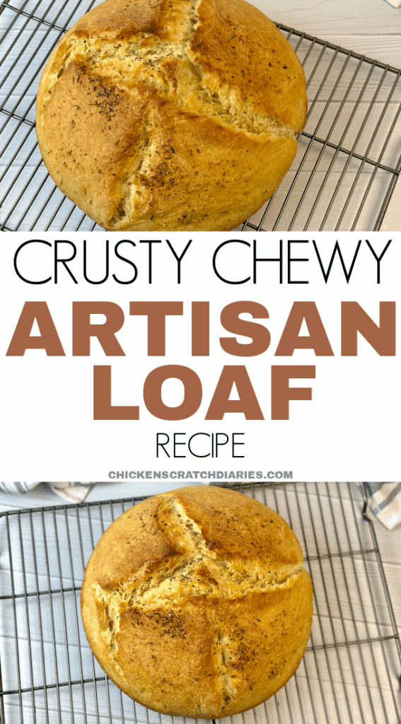 Two images of baked round crusty bread loaves with text "crusty chewy artisan loaf recipe"